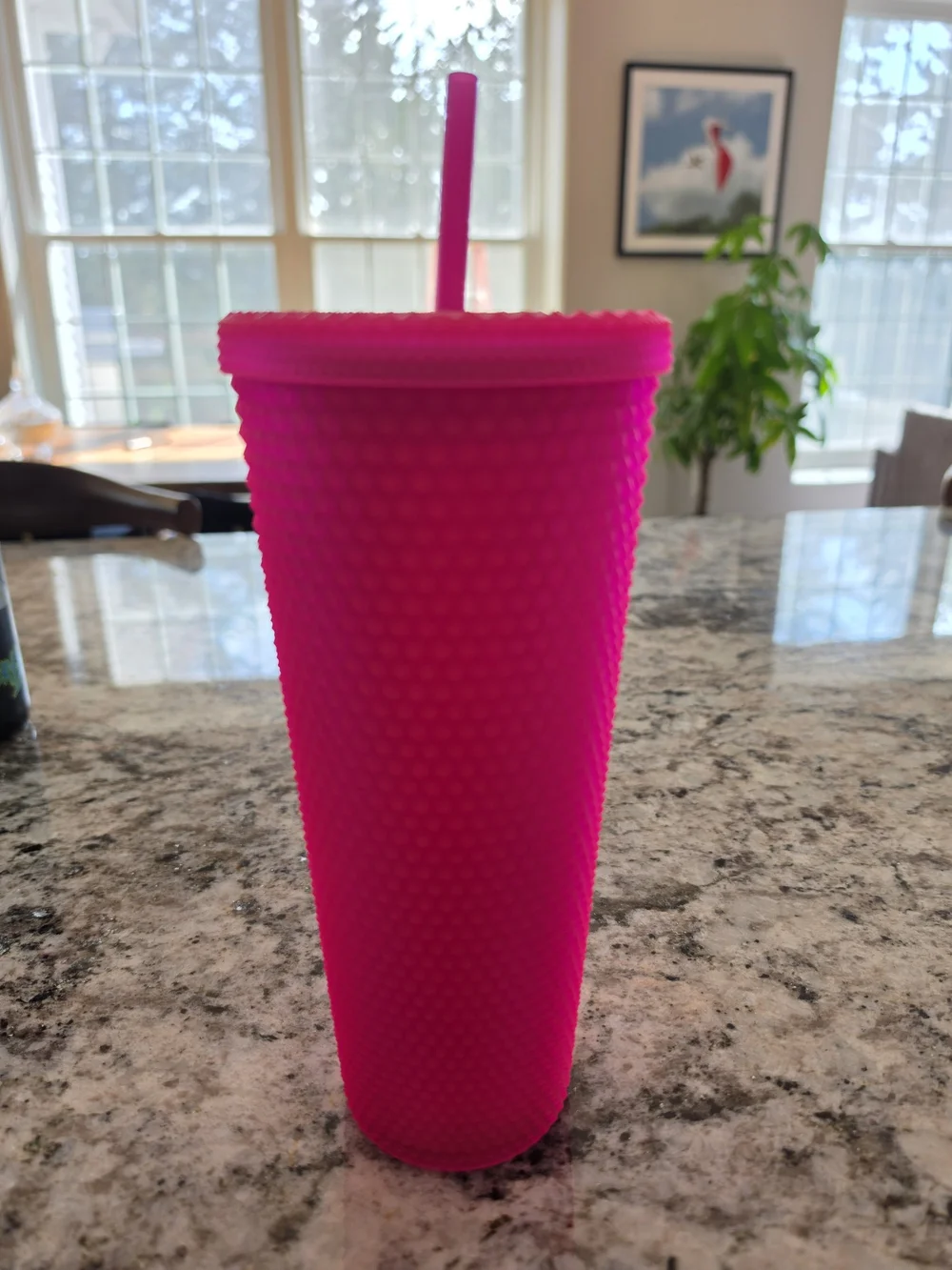 Starbucks MATTE Hot Pink Studded Tumbler with Lid & Straw